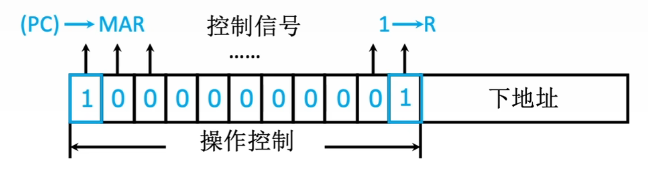 直接编码