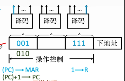 字段直接编码